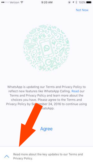 Illustration for article titled You Should Update Your WhatsApp Settings Right Now